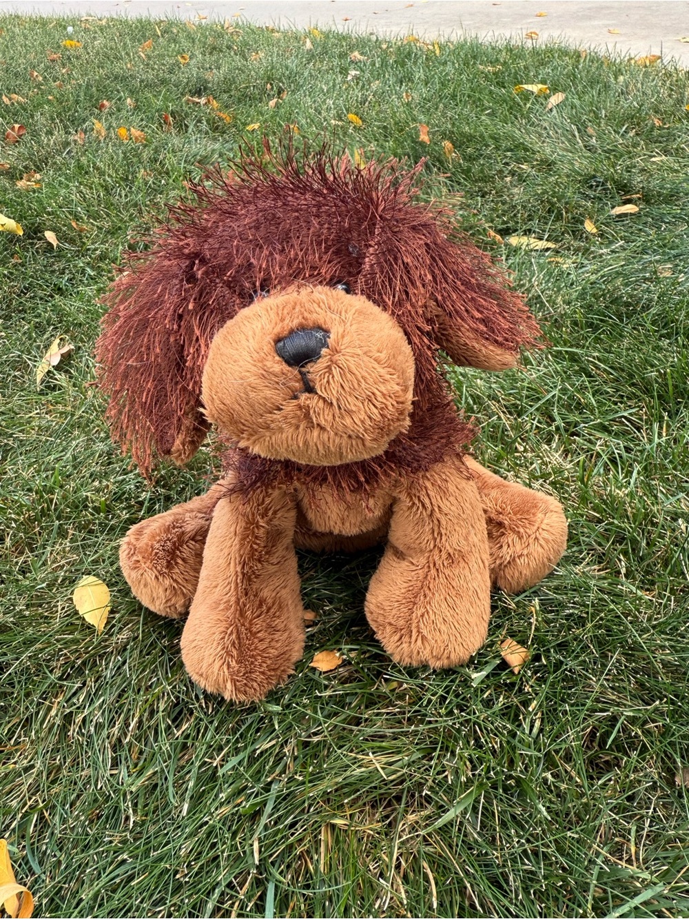 Webkinz dog